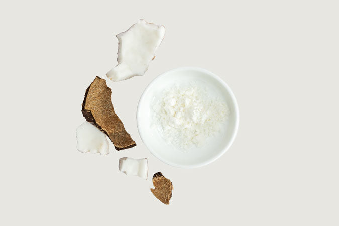 Coconut Milk (Cocos nucifera)