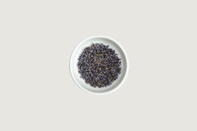 Lavender Flower (Lavandula angustifolia)