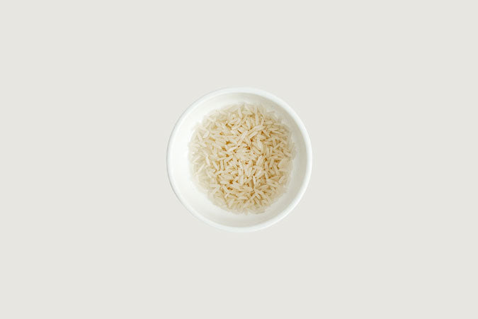 Rice (Oryza sativa)